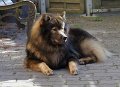 rudel (23)